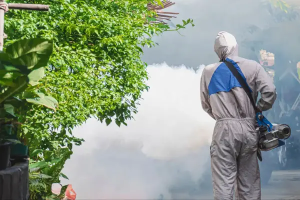 Servicio de exterminio de mosquitos Experts