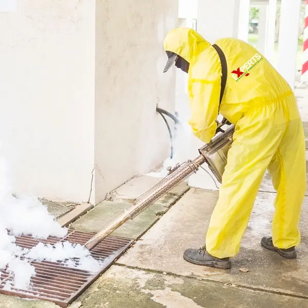 Por qué elegir Servicios Experts