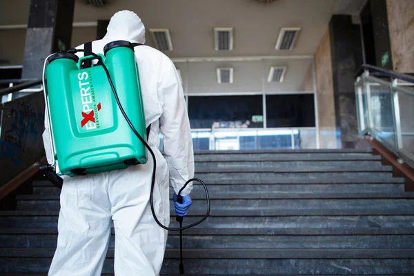 Servicio de exterminio de roedores Experts